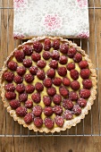 Raspberry tart with vanilla cream (overhead view)