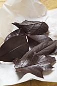 Several different chocolate leaves on paper