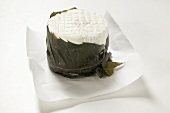 Goat's cheese in chestnut leaf on paper