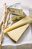 Various types of cheese and grissini