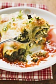 Cannelloni with spinach & sheep's cheese filling in tomato sauce