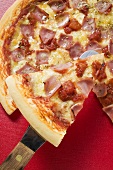 Ham, cheese and tomato pizza with slice on server