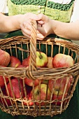 Woman in national dress holding basket of fresh apples