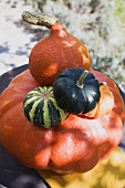 Squashes & pumpkins in a pile in the open air (overhead view)