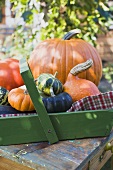 Various types of pumpkins & squashes, some in wooden basket