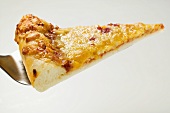 Stück Pizza Margherita (amerikanische Art) auf Heber