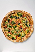 American-style vegetable pizza