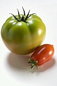 Green beefsteak tomato and plum tomato