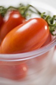 Plum tomatoes in glass bowl