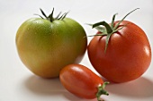 Drei verschiedene Tomaten