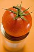 Fresh tomato on food tin
