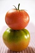 Tomato with drops of water on green tomato