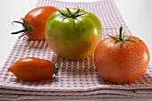 Vier verschiedene Tomaten auf Geschirrtuch