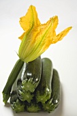 Several courgettes in a pile with courgette flower