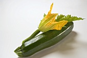 Courgette with flower and leaf