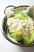 Cauliflower in a colander