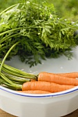 Fresh carrots with tops in white dish