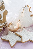 Assorted gingerbread biscuits for Christmas