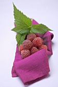 Raspberries with leaves on purple cloth