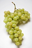 Green Muscat grapes