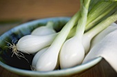 Several spring onions in bowl