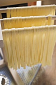 Home-made ribbon pasta, hanging up to dry