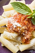 Rigatoni with tomato sauce and Parmesan (close-up)