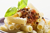 Rigatoni with tomato sauce, olives and Parmesan (close-up)