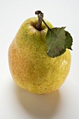 Williams pear with leaf
