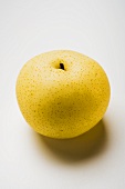 Nashi pear