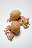 Two brown eggs on broken eggshells