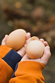 Child's hands holding two brown eggs