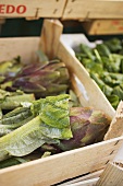 Fresh artichokes in a crate at a market