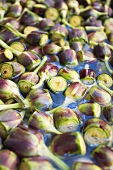 Artichokes in water (full-frame)