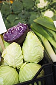Pointed cabbage and half a red cabbage in crate