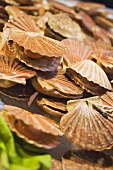 Scallops at a market