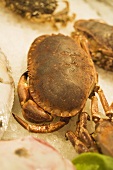 Crabs at a market