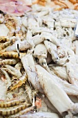 Cuttlefish and shrimps at a market
