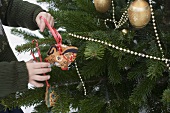 Child hanging gingerbread figures on Christmas tree out of doors