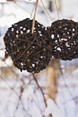 Balls of cloves to hang on the Christmas tree