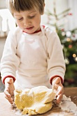 Small boy kneading dough (Christmas)