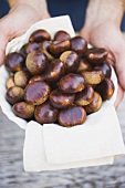 Hands holding chestnuts on cloth in white bowl