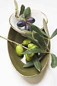 Schwarze und grüne Oliven am Zweig in Schalen