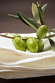 Olive sprig with green olives on linen cloth