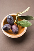 Olive sprig with black olives in terracotta bowl (overhead)