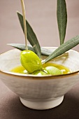 Pouring olive oil over olive sprig with green olives