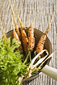 Young carrots in strainer on wooden background