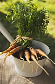 Young carrots in a strainer (outdoors)