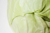 White cabbage with drops of water (detail)