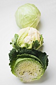 White cabbage, cauliflower and savoy cabbage in a row